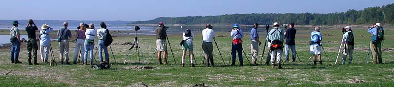 Morgan Creek mudflats field trip, 8/3/02